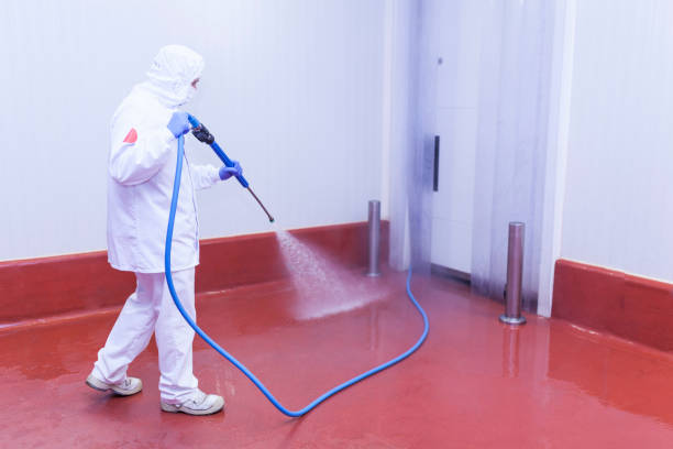 Spring Cleaning in Eufaula, AL