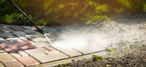 Best Fence Cleaning  in Eufaula, AL